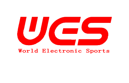 wes标.png