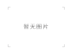 代表委员深入青少年，畅谈绿色网络发展
